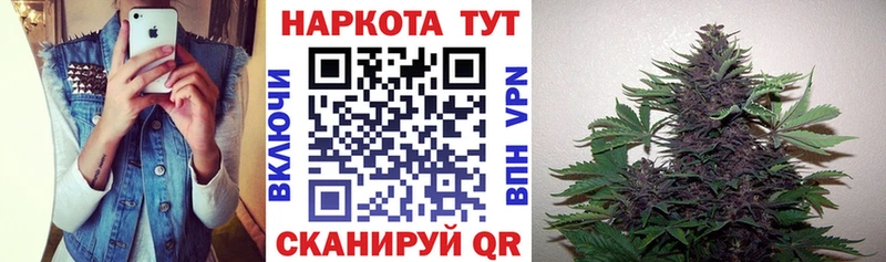 МЕФ Фокино