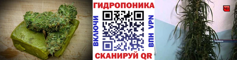 сайты даркнета состав  Фокино  Еда ТГК конопля 