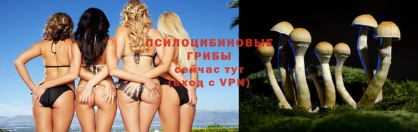 COCAINE Абаза