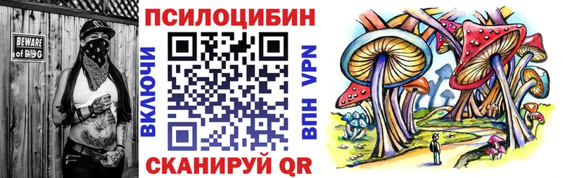 Галлюциногенные грибы Cubensis  закладка  Фокино 